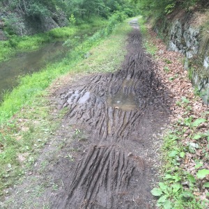 This is the crazy mud puddle south of the Pawpaw Tunnel. Make sure to walk through this stuff.